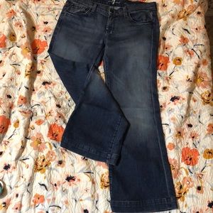 7 For All Mankind Dojo Lexie Petite Jeans